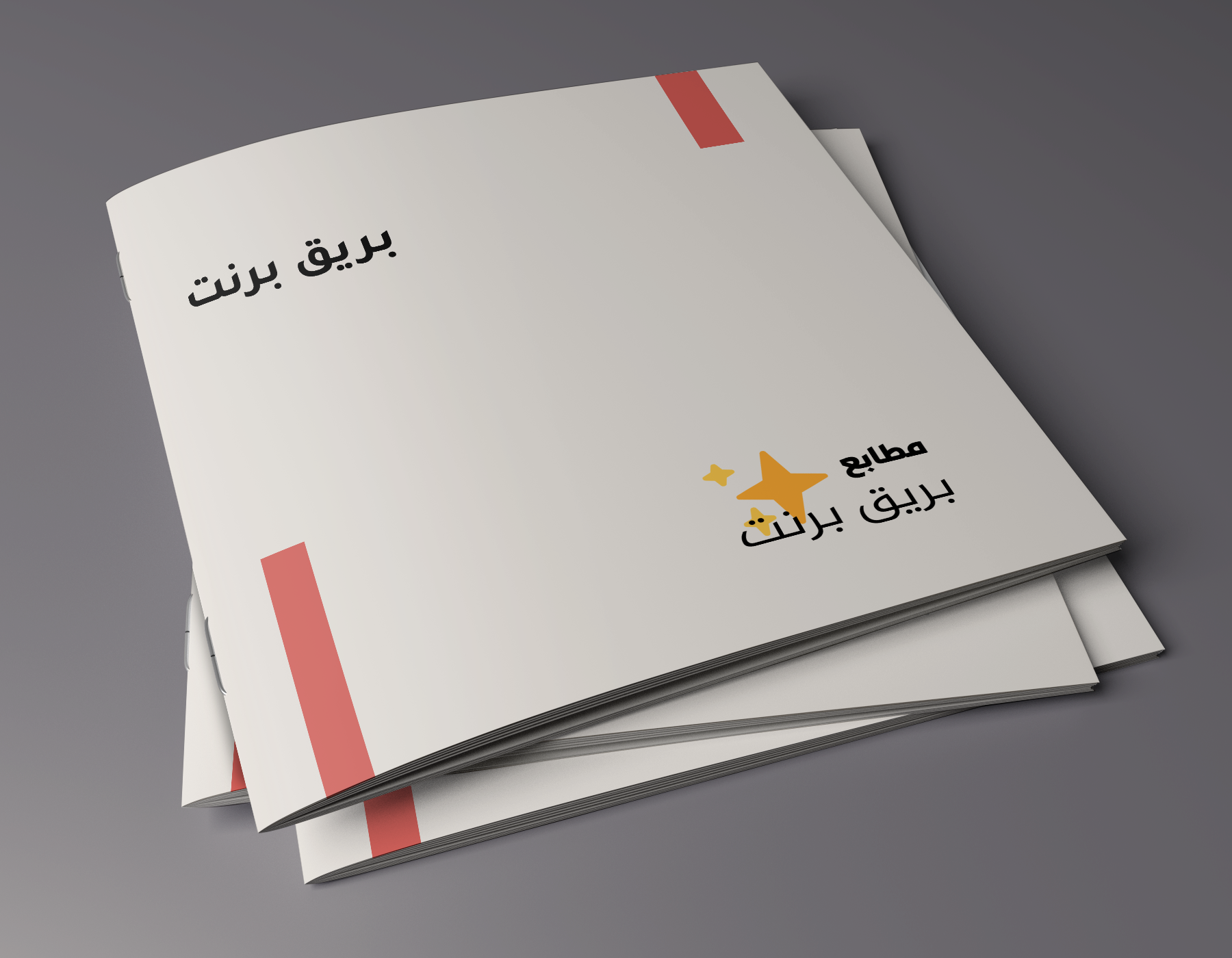 Mock-up_Brochure_21x21_1